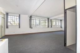 https://img.olx.com.br/thumbs256x256/68/684556288306952.jpg