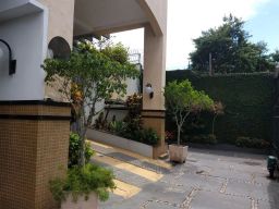 https://img.olx.com.br/thumbs256x256/68/684578646232251.jpg
