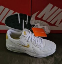 https://img.olx.com.br/thumbs256x256/68/685505409102426.jpg