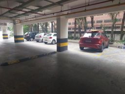 https://img.olx.com.br/thumbs256x256/68/685524153174883.jpg