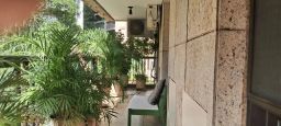 https://img.olx.com.br/thumbs256x256/68/685533523975102.jpg