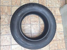 https://img.olx.com.br/thumbs256x256/68/685536038553208.jpg