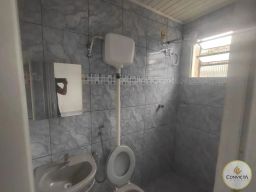 https://img.olx.com.br/thumbs256x256/68/685540516369589.jpg