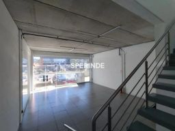https://img.olx.com.br/thumbs256x256/68/685557281767522.jpg