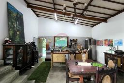 https://img.olx.com.br/thumbs256x256/68/685564382349707.jpg