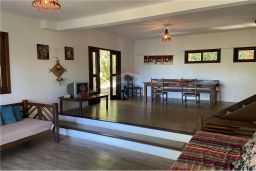 https://img.olx.com.br/thumbs256x256/68/686508856774722.jpg
