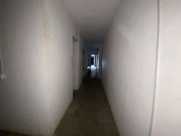 https://img.olx.com.br/thumbs256x256/68/686543043698160.jpg