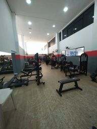 https://img.olx.com.br/thumbs256x256/68/686570281620712.jpg