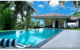 https://img.olx.com.br/thumbs256x256/68/687422097776585.jpg