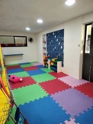 https://img.olx.com.br/thumbs256x256/68/687530760204090.jpg