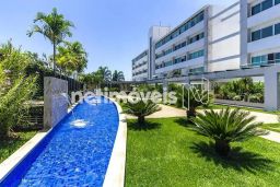 https://img.olx.com.br/thumbs256x256/68/687537886415071.jpg