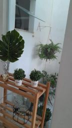 https://img.olx.com.br/thumbs256x256/68/688513761078734.jpg
