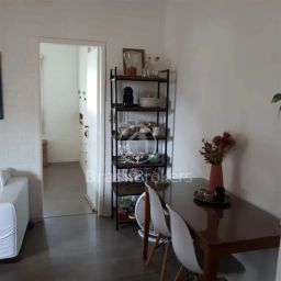 https://img.olx.com.br/thumbs256x256/68/688550528972298.jpg