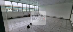 https://img.olx.com.br/thumbs256x256/68/688588649299122.jpg