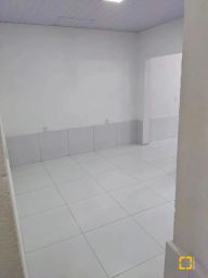 https://img.olx.com.br/thumbs256x256/68/689517284757228.jpg