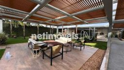 https://img.olx.com.br/thumbs256x256/68/689587287635368.jpg