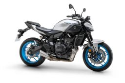 https://img.olx.com.br/thumbs256x256/69/690504756677390.jpg