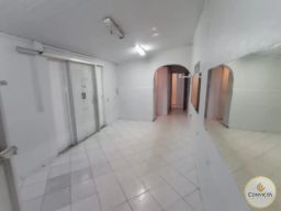 https://img.olx.com.br/thumbs256x256/69/690536145767808.jpg