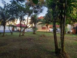 https://img.olx.com.br/thumbs256x256/69/690671436326488.jpg