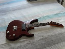 https://img.olx.com.br/thumbs256x256/69/691480432098392.jpg