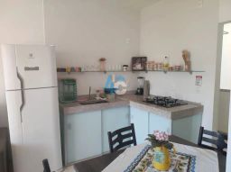 https://img.olx.com.br/thumbs256x256/69/691513275980737.jpg