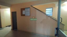 https://img.olx.com.br/thumbs256x256/69/691528649919713.jpg