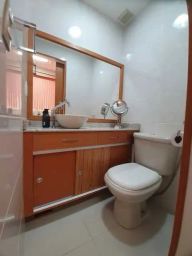 https://img.olx.com.br/thumbs256x256/69/691585766073480.jpg