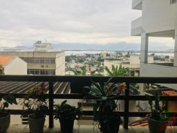 https://img.olx.com.br/thumbs256x256/69/692524504482492.jpg