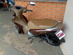 https://img.olx.com.br/thumbs256x256/69/692640689853378.jpg