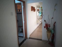 https://img.olx.com.br/thumbs256x256/69/693520765800807.jpg