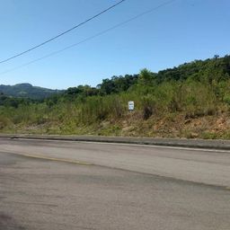 https://img.olx.com.br/thumbs256x256/69/695344364528169.jpg