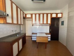 https://img.olx.com.br/thumbs256x256/69/695529745955540.jpg