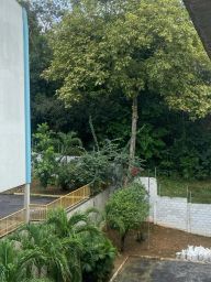 https://img.olx.com.br/thumbs256x256/69/695531872597882.jpg