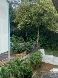 https://img.olx.com.br/thumbs256x256/69/698572754636539.jpg