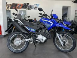 https://img.olx.com.br/thumbs256x256/69/698590727544649.jpg