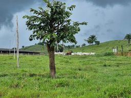 Título do anúncio: Fazenda com 390 alqueires para pecuária no sul do Pará