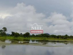 https://img.olx.com.br/thumbs256x256/70/701541172564570.jpg