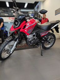 https://img.olx.com.br/thumbs256x256/70/701589405646346.jpg