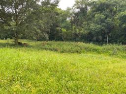 https://img.olx.com.br/thumbs256x256/70/703503365547022.jpg