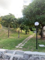 https://img.olx.com.br/thumbs256x256/70/703532526486098.jpg