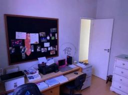 https://img.olx.com.br/thumbs256x256/70/703565168331620.jpg