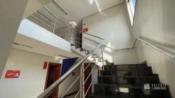 https://img.olx.com.br/thumbs256x256/70/703595162970555.jpg