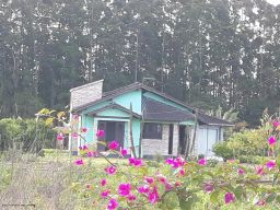 https://img.olx.com.br/thumbs256x256/70/704563648752681.jpg