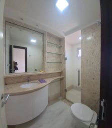 https://img.olx.com.br/thumbs256x256/70/705531767528657.jpg