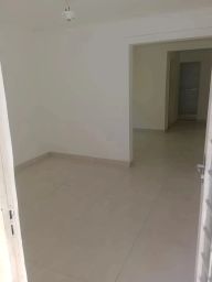 https://img.olx.com.br/thumbs256x256/70/705561162319639.jpg