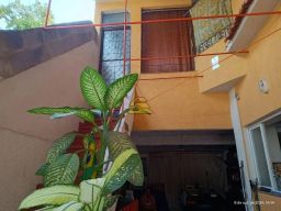 https://img.olx.com.br/thumbs256x256/70/707544647882513.jpg