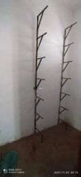 https://img.olx.com.br/thumbs256x256/70/707567521391129.jpg