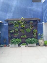 https://img.olx.com.br/thumbs256x256/70/707571643935630.jpg