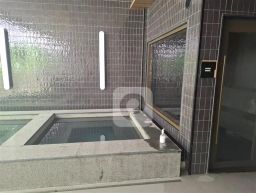 https://img.olx.com.br/thumbs256x256/70/708577648571296.jpg