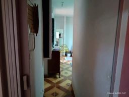 https://img.olx.com.br/thumbs256x256/70/709568169446533.jpg